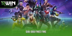 Blog Cá Cược 11Win – Tin Tức, Kinh Nghiệm - Danosu