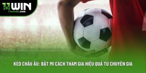 Blog Cá Cược 11Win – Tin Tức, Kinh Nghiệm - Danosu