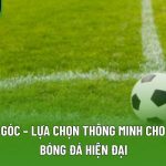 Tool Xóc Đĩa: Bí Quyết Nâng Tầm Phân Tích Trò Chơi - Danosu