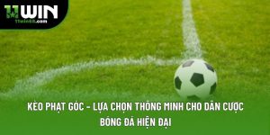 Blog Cá Cược 11Win – Tin Tức, Kinh Nghiệm - Danosu
