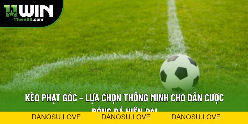 11win Hoàn Trả: Trải Nghiệm Ưu Đãi Cực Khủng Từ Nền Tảng - Danosu