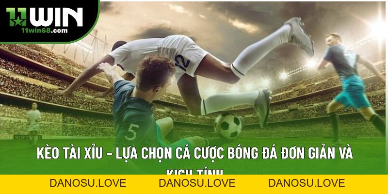 11win Hoàn Trả: Trải Nghiệm Ưu Đãi Cực Khủng Từ Nền Tảng - Danosu