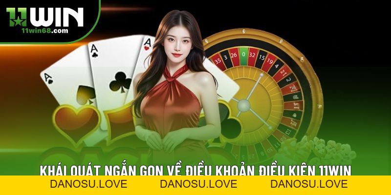 Điều Khoản Điều Kiện 11Win - Cập Nhật Mới Nhất 2026 - Danosu