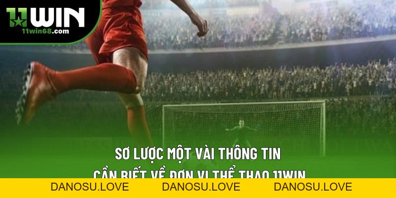 Thể Thao 11win | Cơ Hội Kiếm Về Tiền Thưởng Hậu Hĩnh - Danosu
