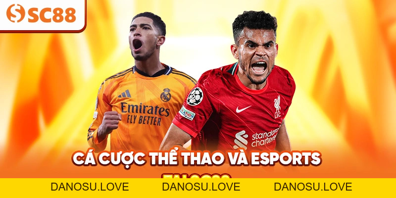 SC88 ✅️ Đăng Ký, Đăng Nhập Trang Chủ SC88.COM ⭐️2026⭐️ - Danosu