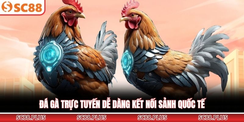 Đá Gà Online – Trải Nghiệm Đấu Trường Cực Đỉnh Cao Tại Nhà - Danosu
