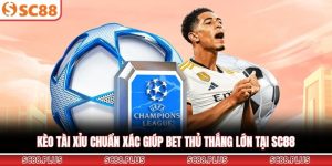Thể thao SC88 - Sảnh Cược Đầy Ấn Tượng Cho Bet Thủ 2026 - Danosu