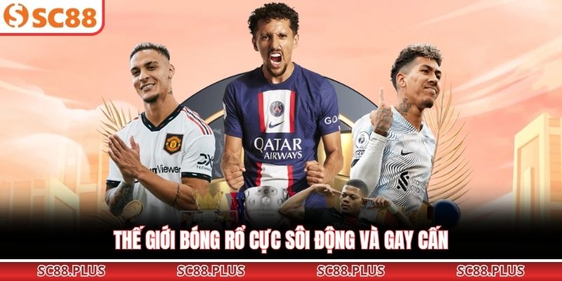 UG Thể Thao - Sảnh Cược Online Uy Tín 10/10 Năm 2026 - Danosu