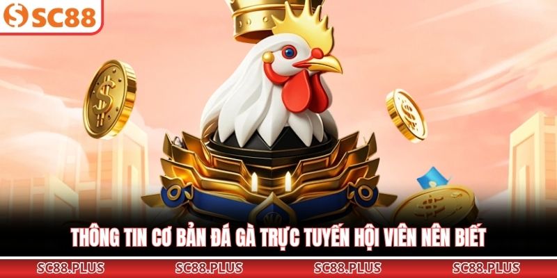 Đá Gà Online – Trải Nghiệm Đấu Trường Cực Đỉnh Cao Tại Nhà - Danosu