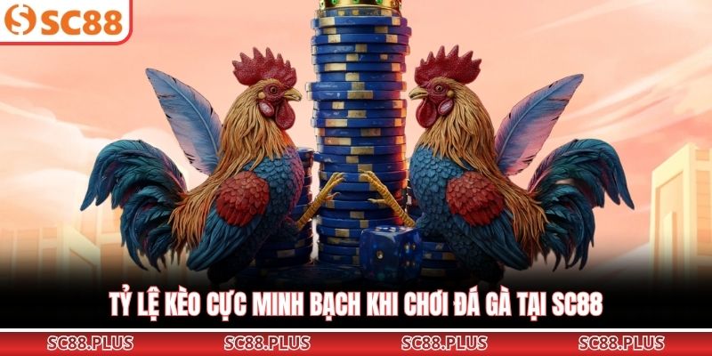 Đá Gà SC88 - Sảnh Cược Trực Tuyến Đẳng Cấp Và Uy Tín Nhất - Danosu