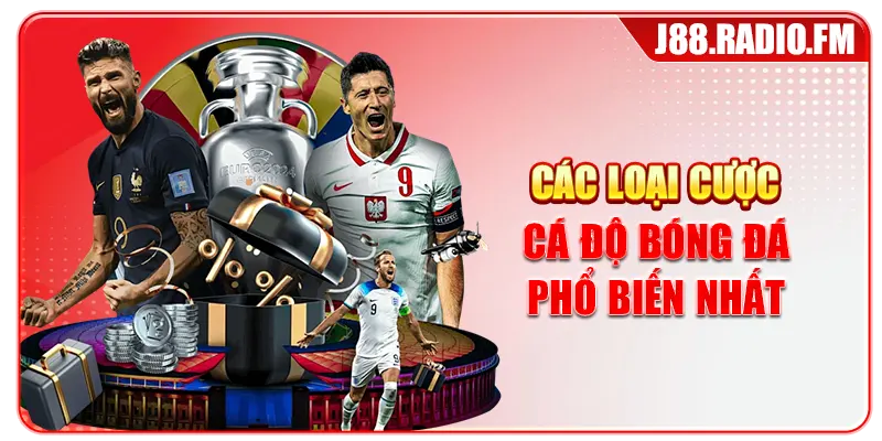 Cá Độ Bóng Đá Từ Cơ Bản Đến Nâng Cao Cho Tân Thủ - Danosu