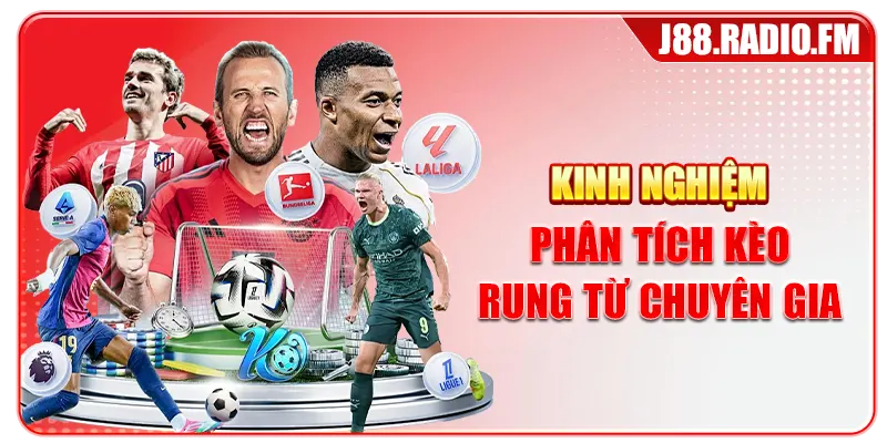 Kèo Rung Là Gì? Tìm Hiểu Bí Quyết Cá Cược Hiệu Quả - Danosu