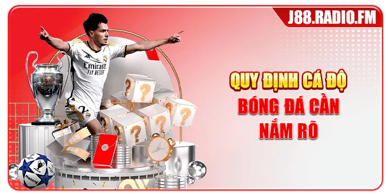 Cá Độ Bóng Đá Từ Cơ Bản Đến Nâng Cao Cho Tân Thủ - Danosu
