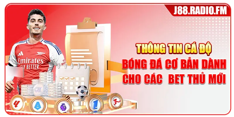 Cá Độ Bóng Đá Từ Cơ Bản Đến Nâng Cao Cho Tân Thủ - Danosu