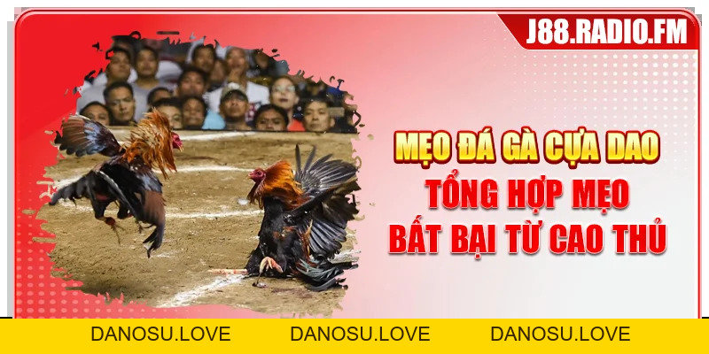 Blog J88 - danosu.love - Danosu